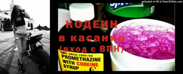 спиды Богданович