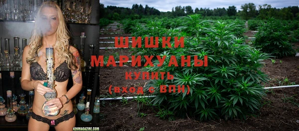 мдпв Богородск