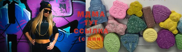 мдпв Богородск